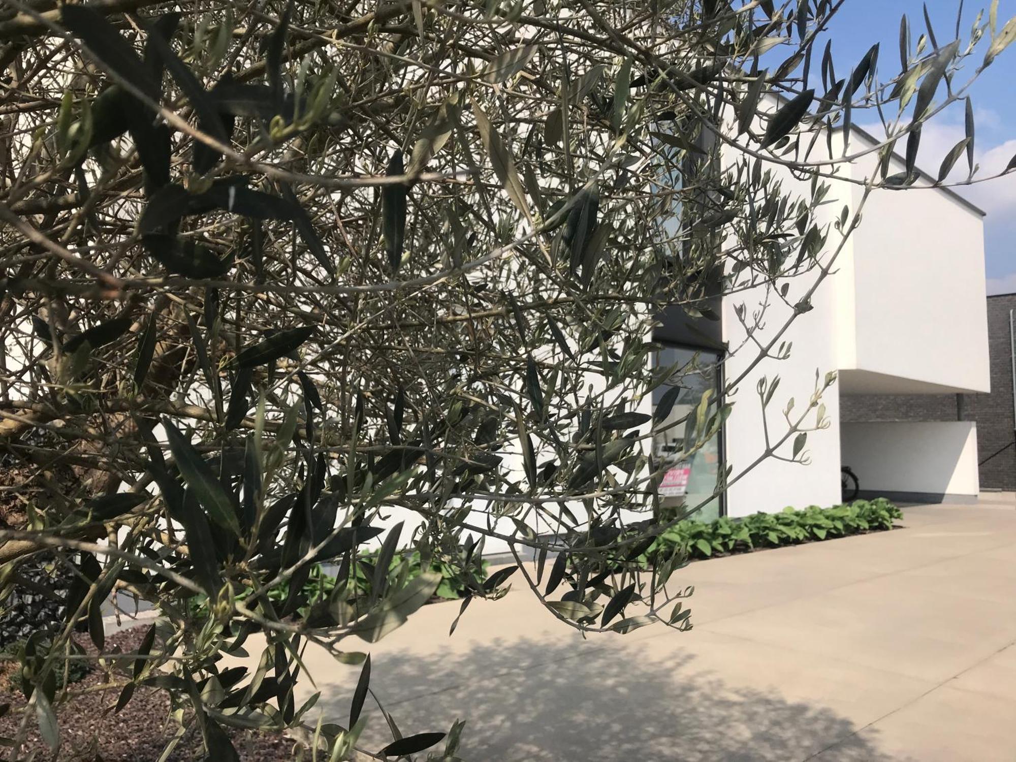 Vita Roka Met Extra Luxe Prive Wellness Ursel Buitenkant foto