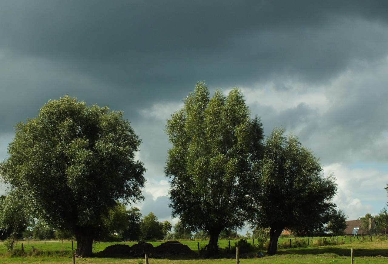 Vita Roka Met Extra Luxe Prive Wellness Ursel Buitenkant foto