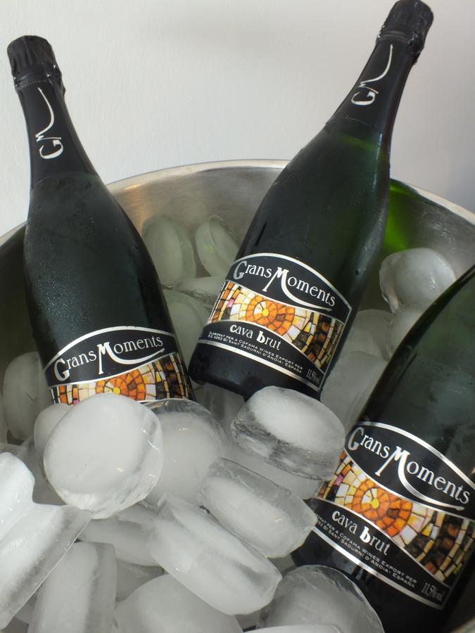 Vita Roka Met Extra Luxe Prive Wellness Ursel Buitenkant foto