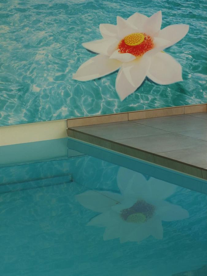Vita Roka Met Extra Luxe Prive Wellness Ursel Buitenkant foto